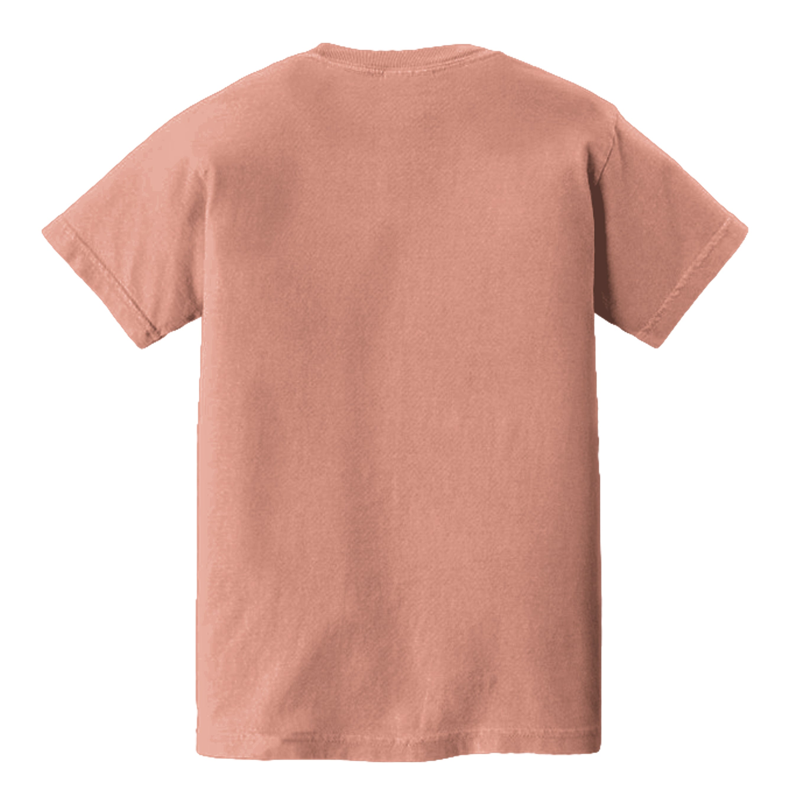 Terracotta - C9018 - BACK