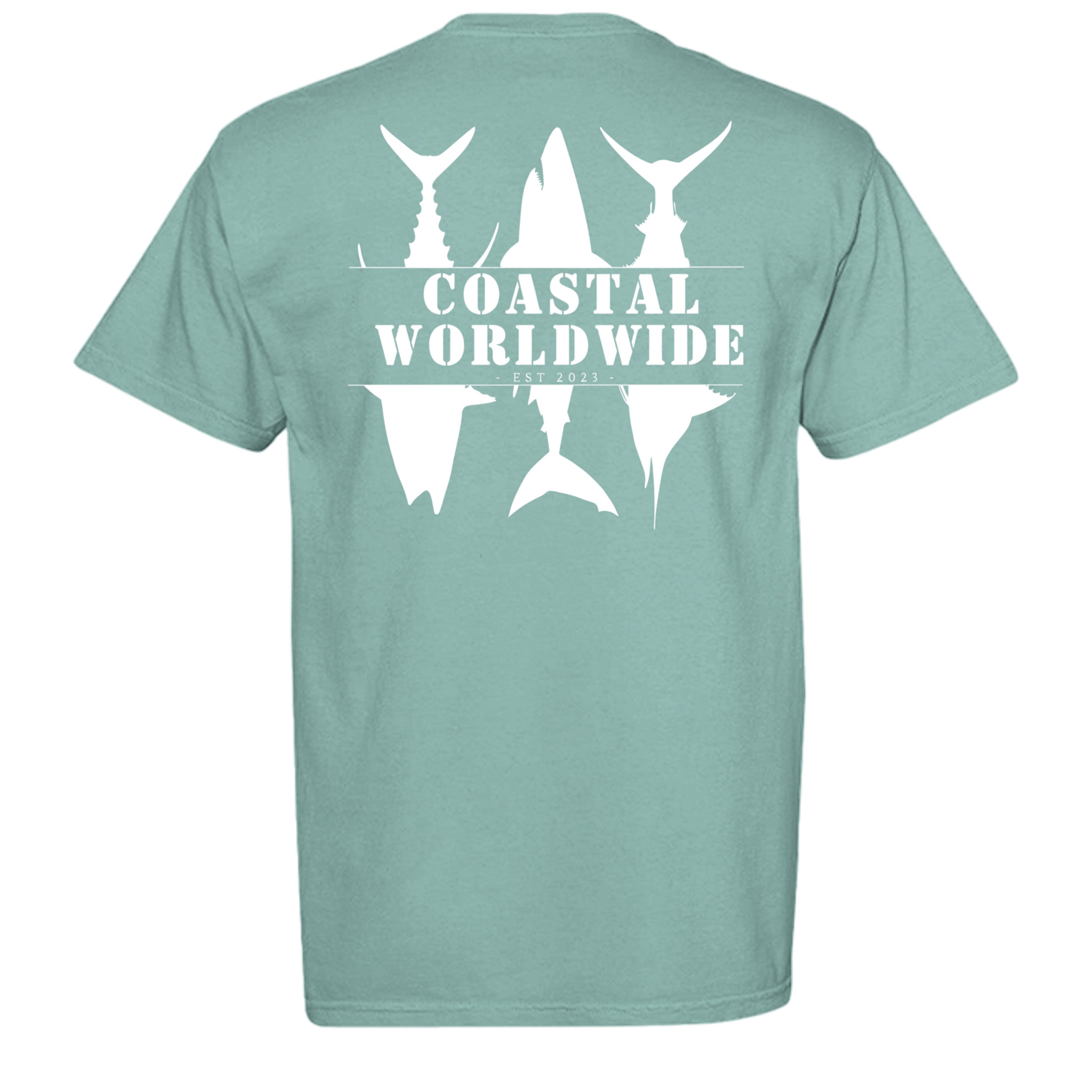 SEAFOAM - C1717 - BACK