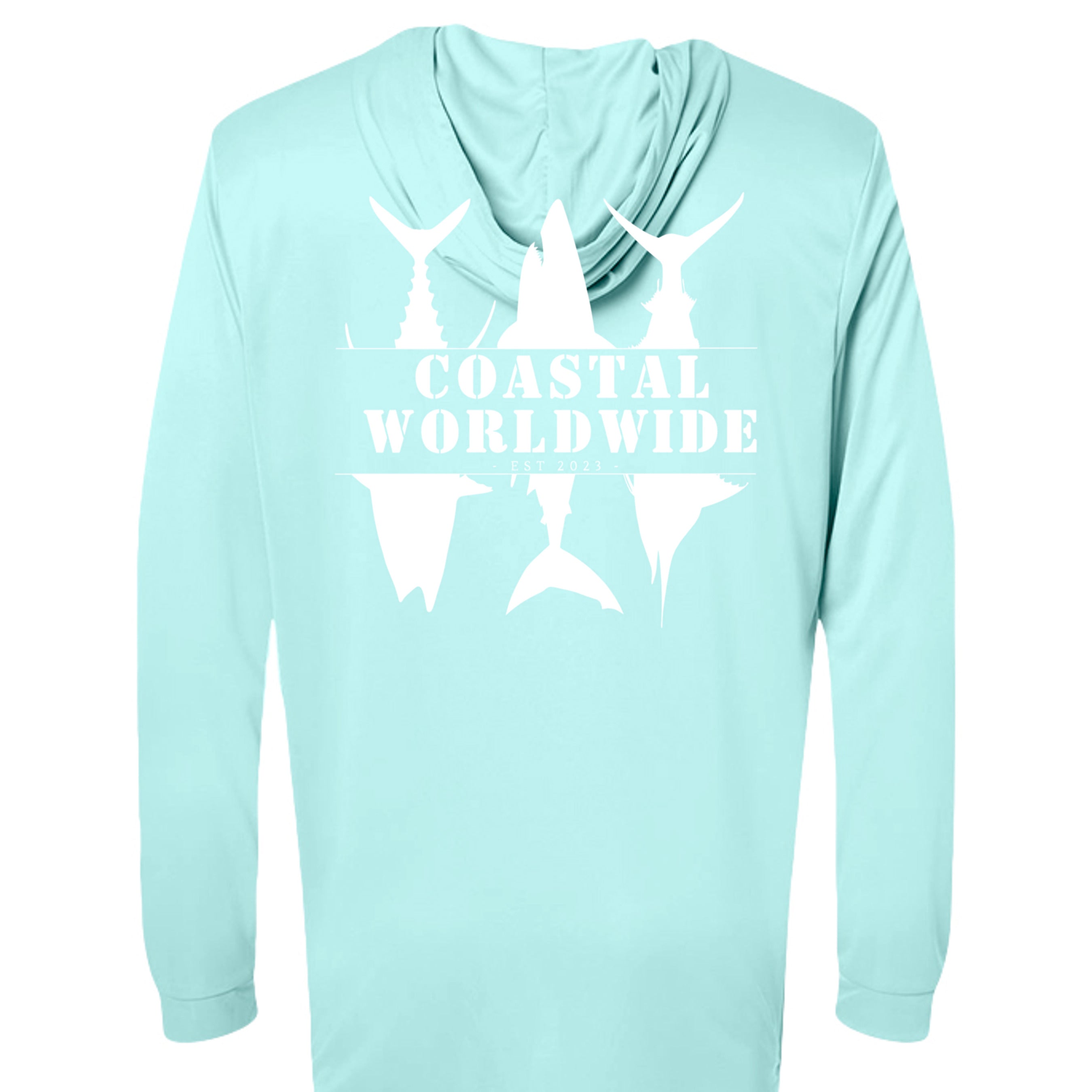 Aqua Blue - 220P - BACK